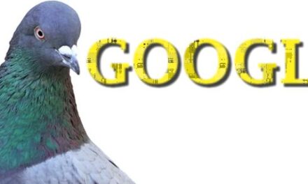 Cómo adaptar tu página web a PIGEON, el nuevo algoritmo de Google