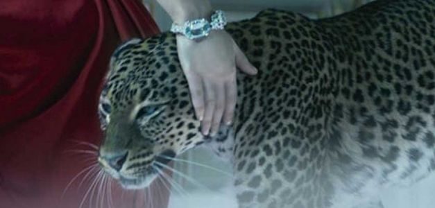 ¿Qué tipo de imágenes funcionan en las redes sociales?