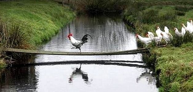 ﻿12 mandamientos para dejar de perder seguidores en redes sociales