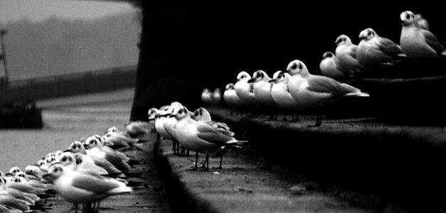 ¿Qué es la audiencia útil?