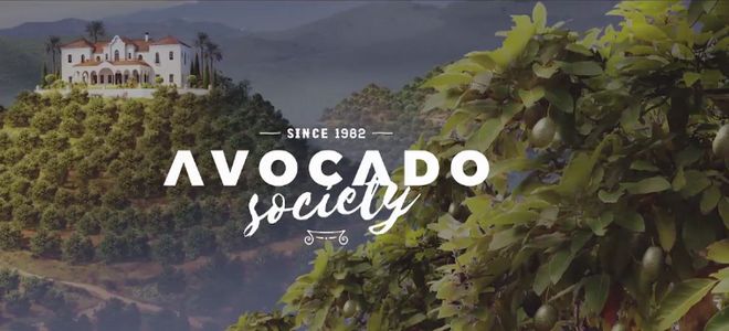 Montosa crea la Sociedad del Aguacate