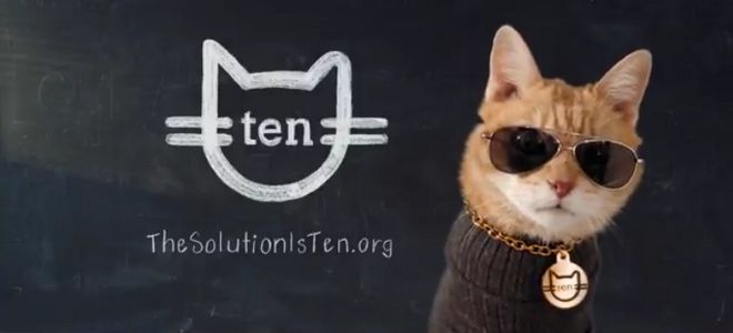 Los gatos multiplican bien, pero son malos en matemáticas, según esta campaña de concienciación