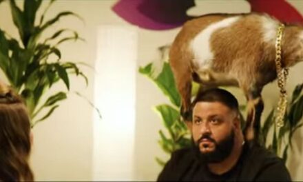 DJ Khaled practica yoga con un grupo de cabras en el nuevo spot de ron Bumbu