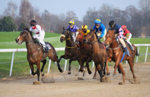 carrera caballos