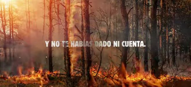 Burger King quemará sus propios anuncios para concienciar sobre los incendios forestales