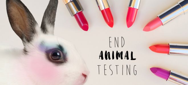 Dove y The Body Shop instan a la UE que mantenga la prohibición de la experimentación en animales