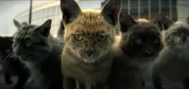  Back Market: No solo los gatos pueden tener varias vidas, también la tecnología