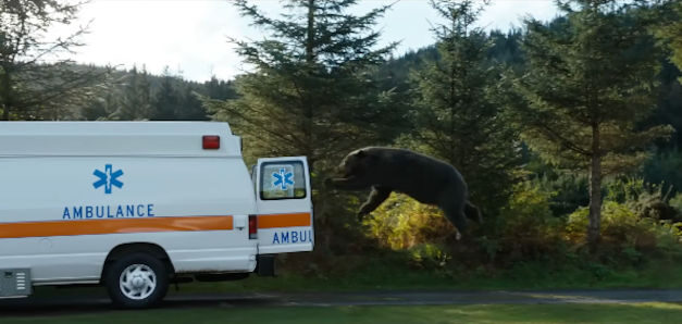 El «oso de la cocaína»: cuando la extravagancia es buen marketing